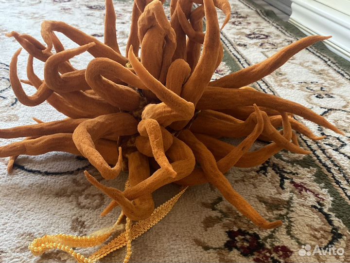 Костюм коралла