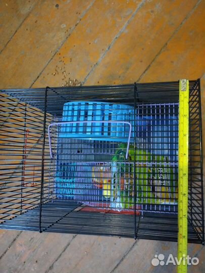 Клетки для грызунов