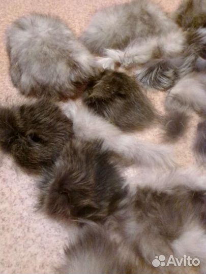 Лоскуты опушки куски меховые для рукоделия