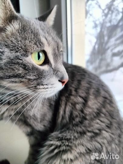 Мальчик бесплатно