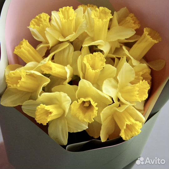 Букет цветы нарциссы