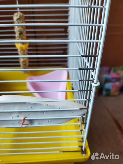 Клетка для грызунов большая