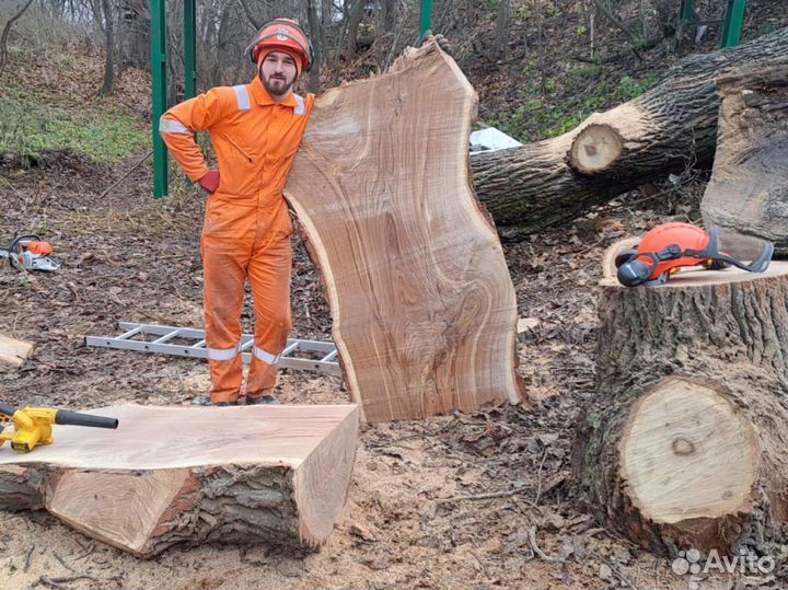 Дубовые слэбы