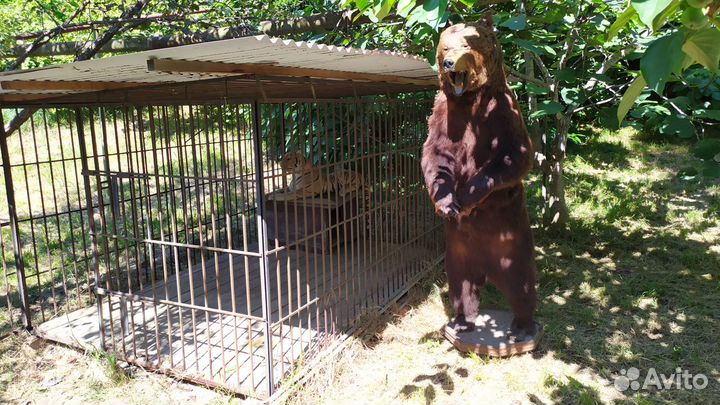 Вольер для собак уличный