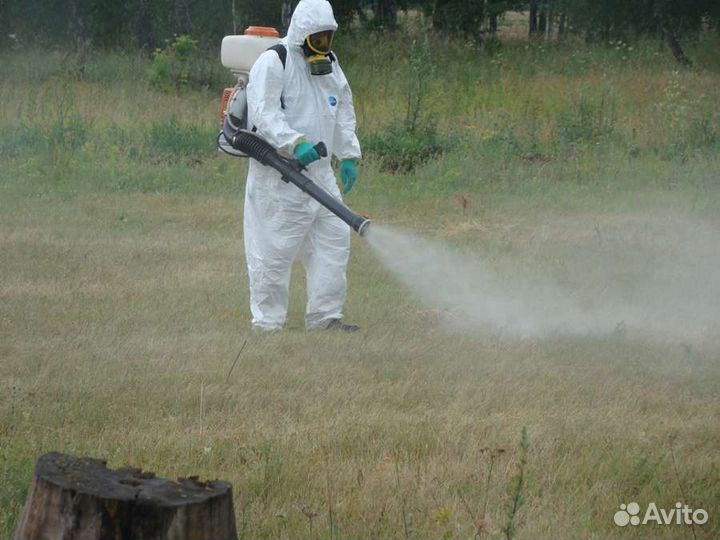 Уничтожение Тараканов Клопов Клещей Борщевика Ос