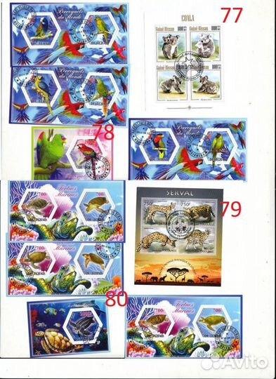 Почтовые марки блоки фауна п