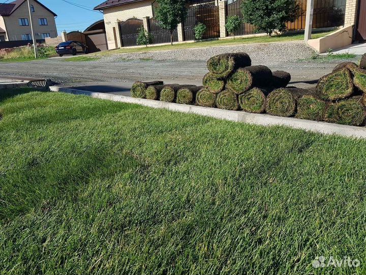 Укладка и продажа рулонного газона