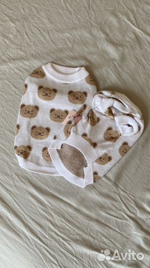 Одежда для собак