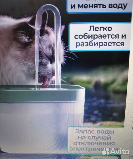 Фонтан поилка для кошек