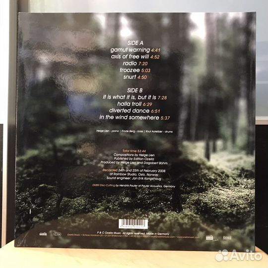 Helge Lien Trio - Hello Troll, 2008, LP, Germany