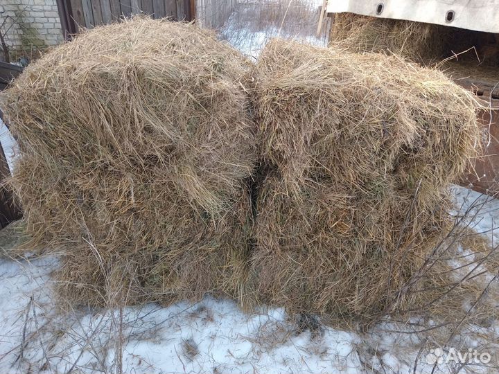 Сено в тюках