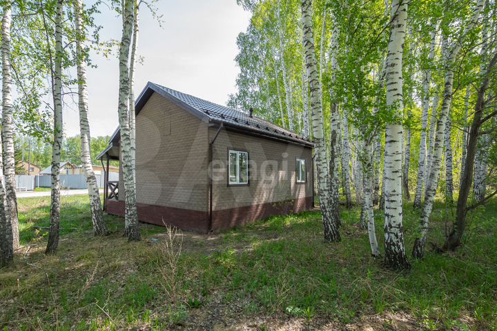 Участок 11,6 сот. (СНТ, ДНП)