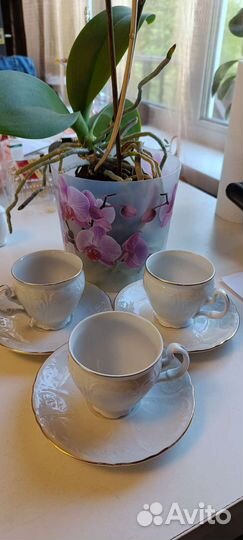 Чайная пара Бернадотт