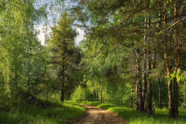 Участок 7 сот. (ИЖС)