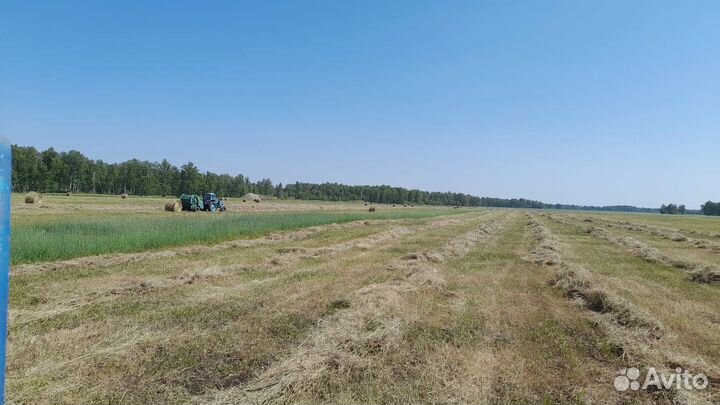 Сено в рулонах 2024
