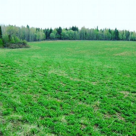 Участок 3 га (СНТ, ДНП)