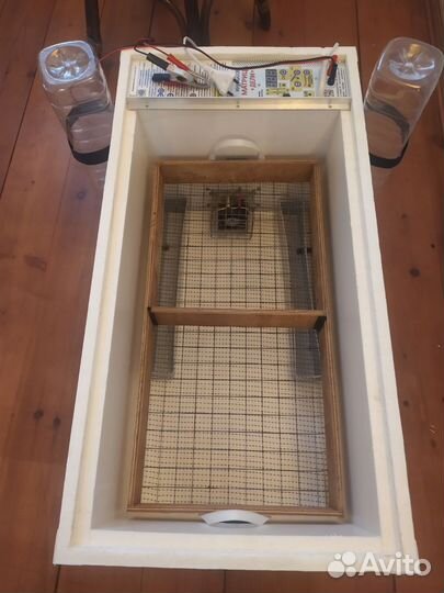 Инкубатор для яиц автоматический бу