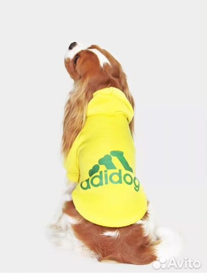 Толстовка для собак