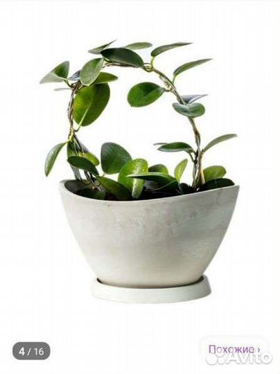 Горшок для цветов