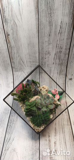 Флорариум, подарок, цветы