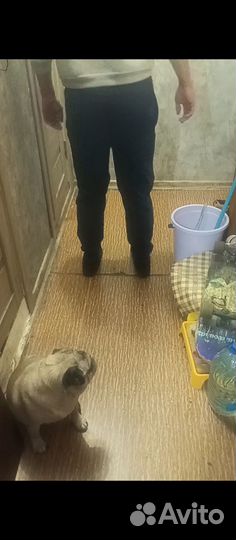 Мужские спортивные штаны