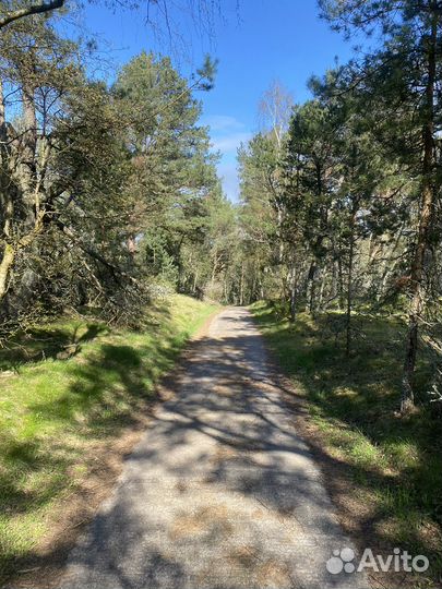 Индивидуальные экскурсии на Куршскую Косу