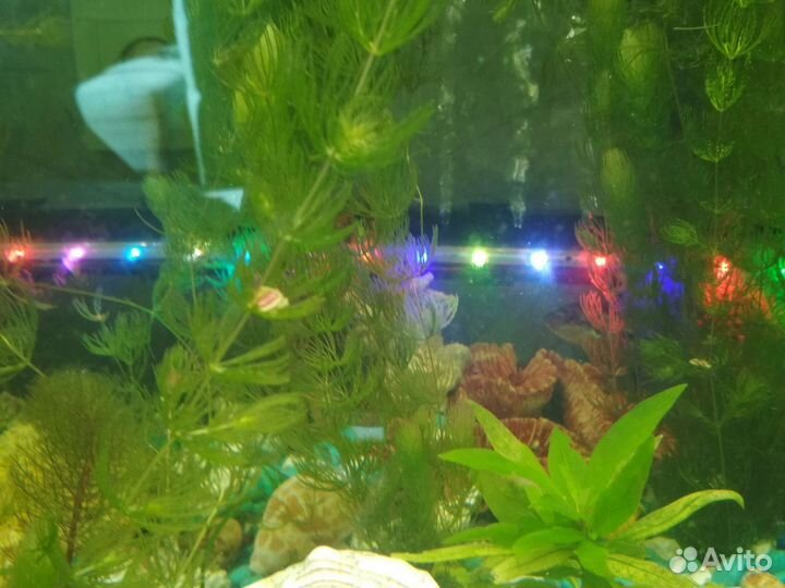 Распылитель воздуха с подсветкой