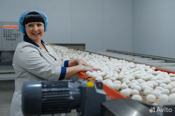 Приглашаем на работу на птицефабрике Челябинск