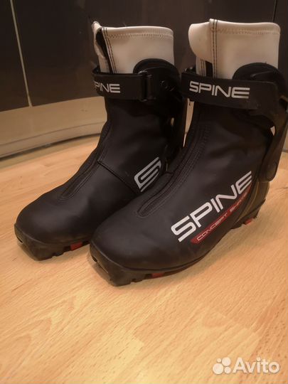 Лыжные ботинки spine 36 NNN