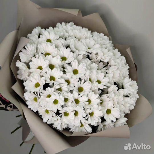 Хризантемы Букет Хризантем Цветы в Красноярске