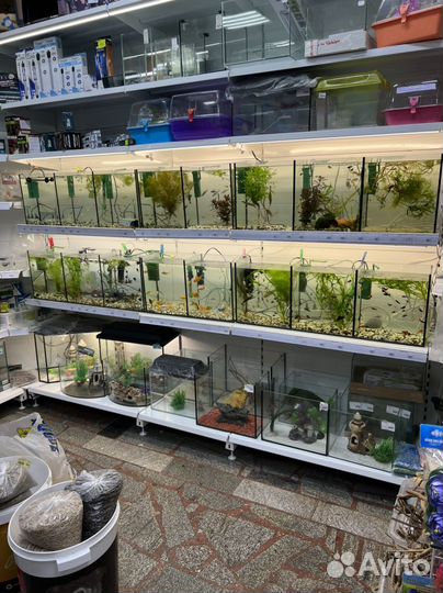 Аквариумы