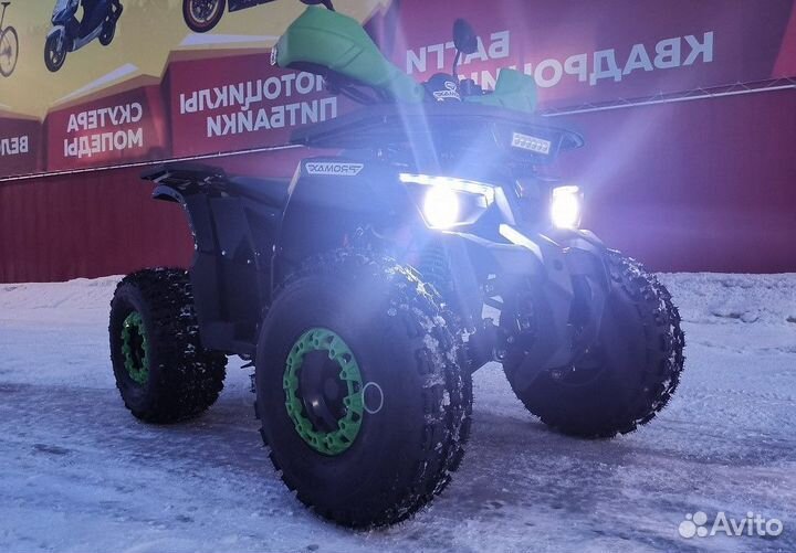 Квадроцикл promax wild 175 LUX
