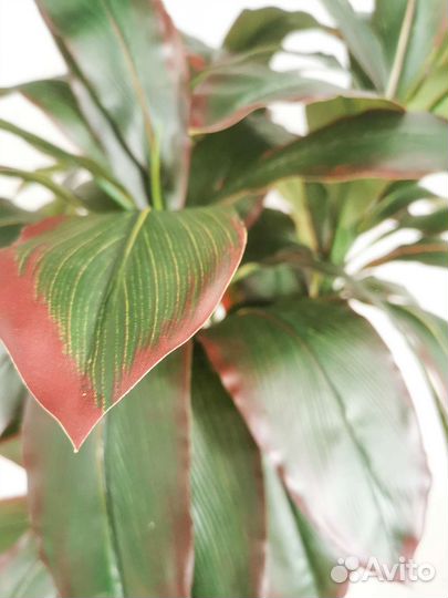 Пальма искусственнре дерево в кашпо 170см