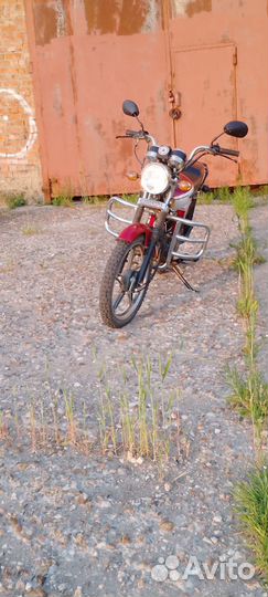 Альфа Rx11