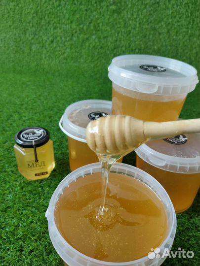 Мёд Донниковый - гост, своя пасека, смотрите отзыв