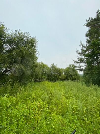 Участок 16 сот. (СНТ, ДНП)