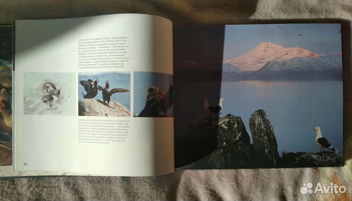 Книга о мире природы