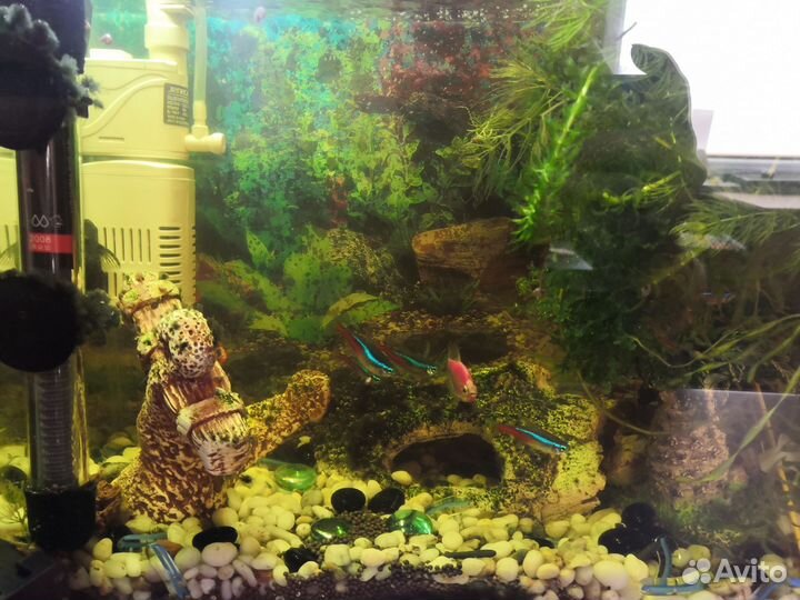 Аквариум