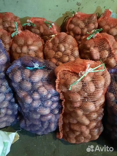 Продам картофель