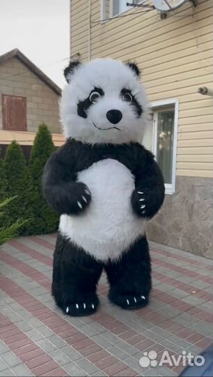 Белый мишка поздравление аниматор на праздник