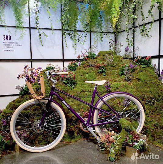 Редкий велосипед