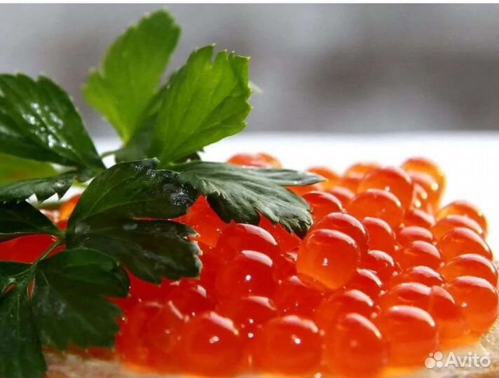 Красная икра