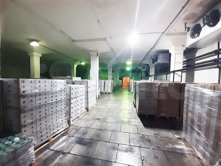 Аренда холодильного склада 586 м² +4С (№104)