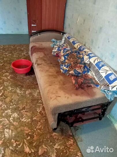 Уничтожение тараканов травля клопов сбор ртути