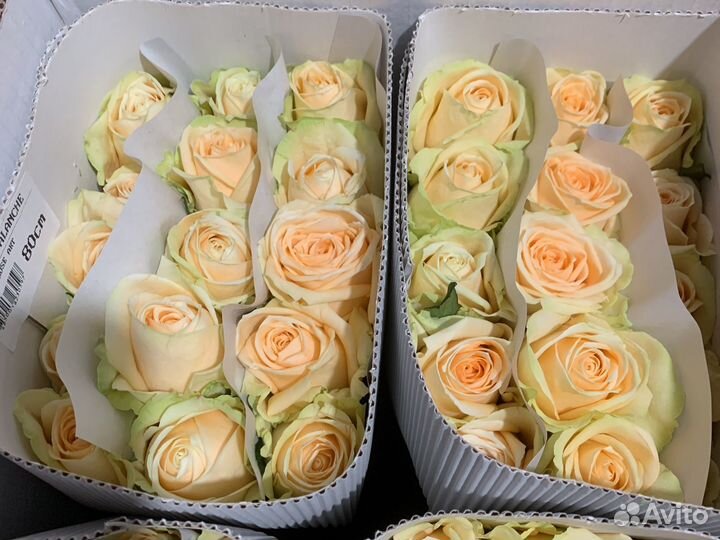 Цветы оптом