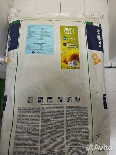 Семена подсолнечник сингента