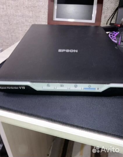 Сканер Epson Perfection v19