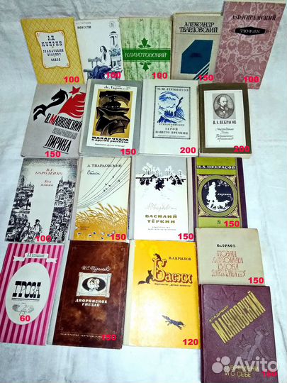 Классики и Современники / школьная библиотека