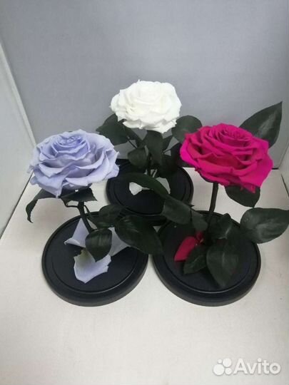 Роза в колбе оптом и в розницу