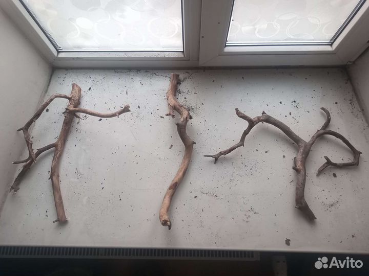 Коряги для террариума